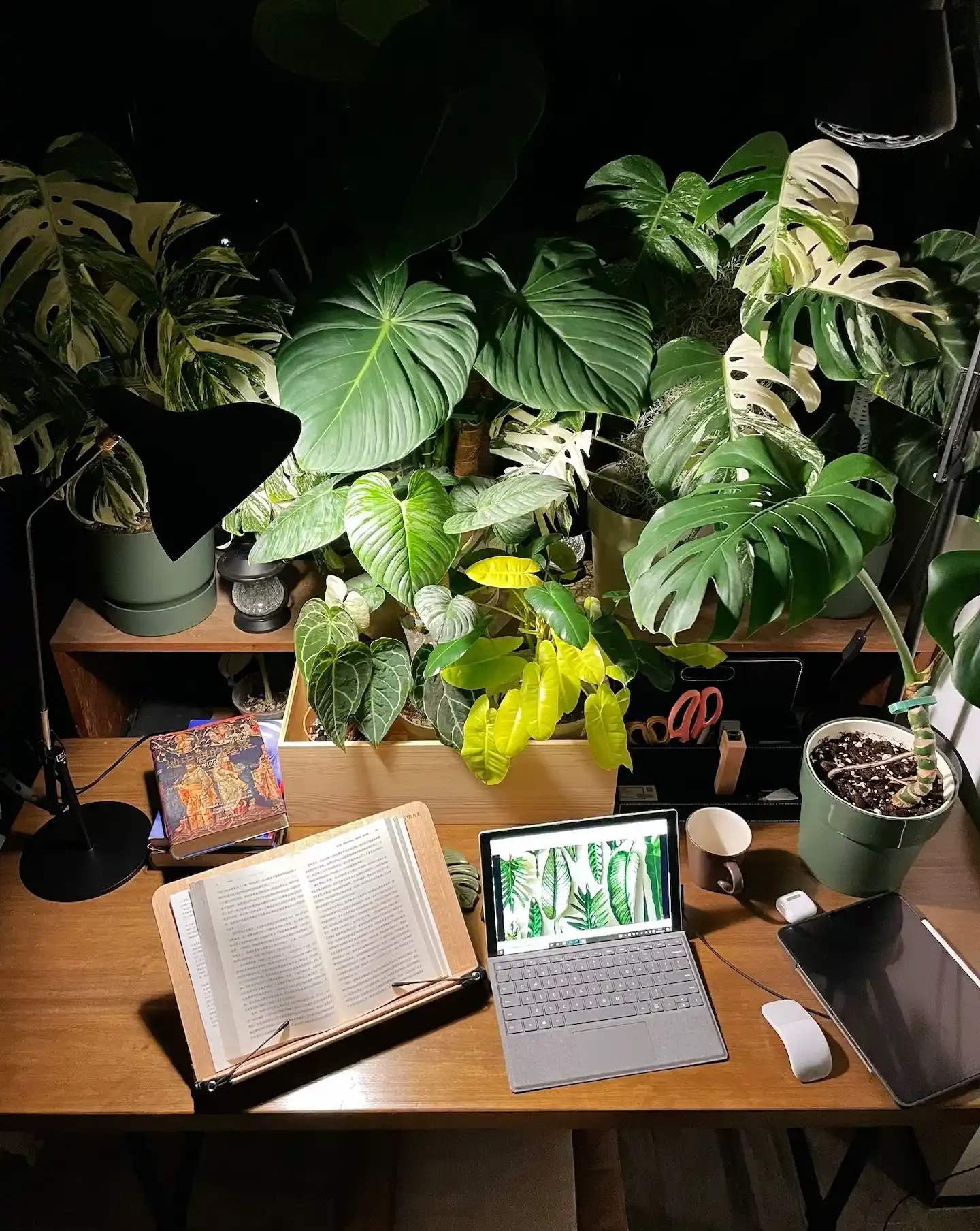 An intimate night-time reading corner with an open book on a wooden desk, flanked by an illuminated laptop displaying leafy plants and various potted plants in the background.